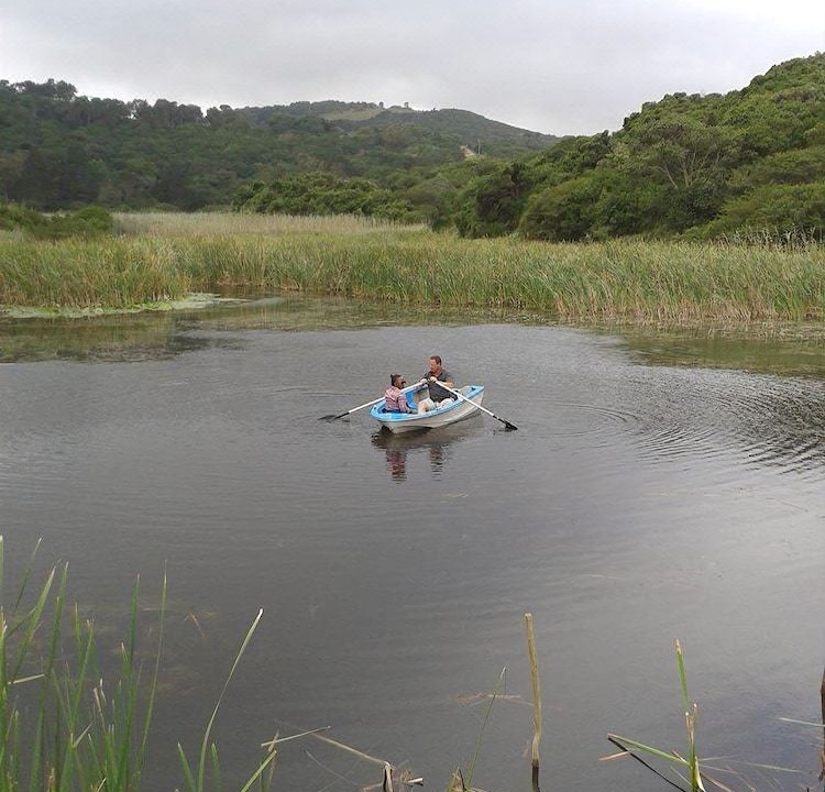 Photo of Outdoor in Nelson Mandela Bay