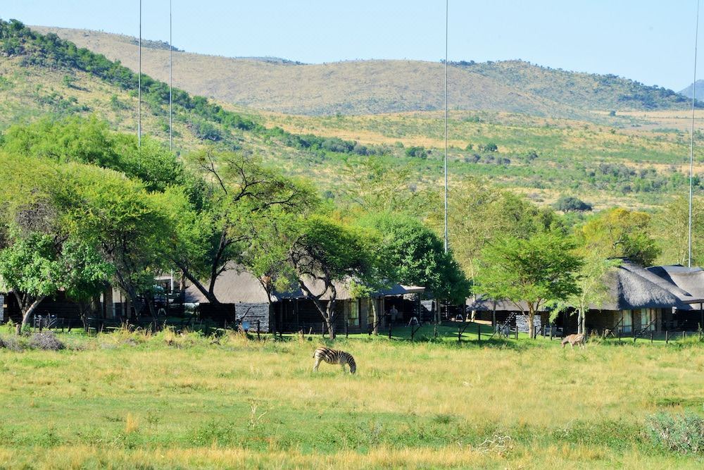 Photo of Outdoor in Ledig