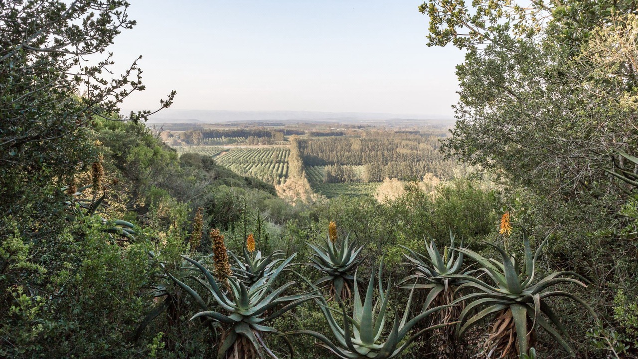 Photo of Outdoor in Addo