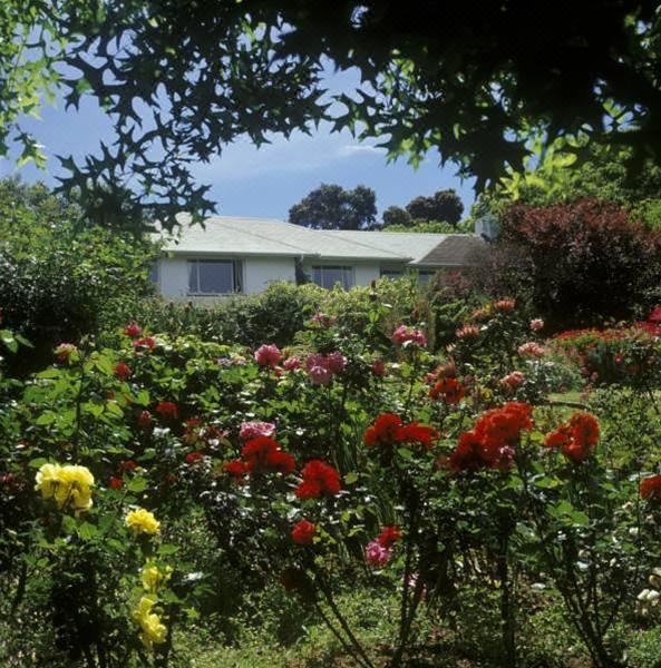 Photo of Others in Newlands