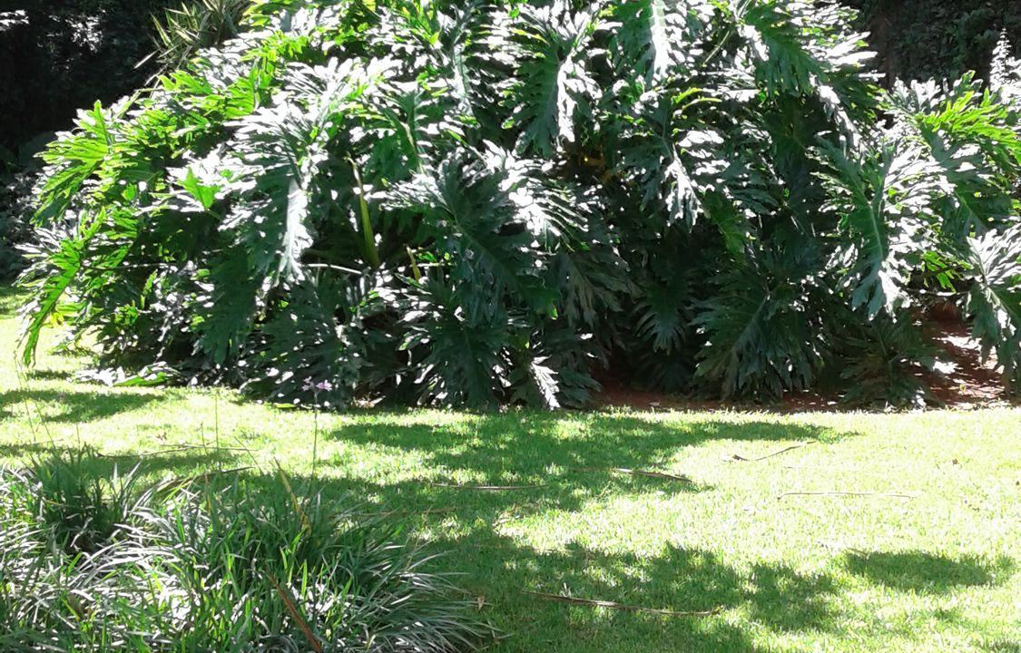 Photo of Outdoor in Bedfordview