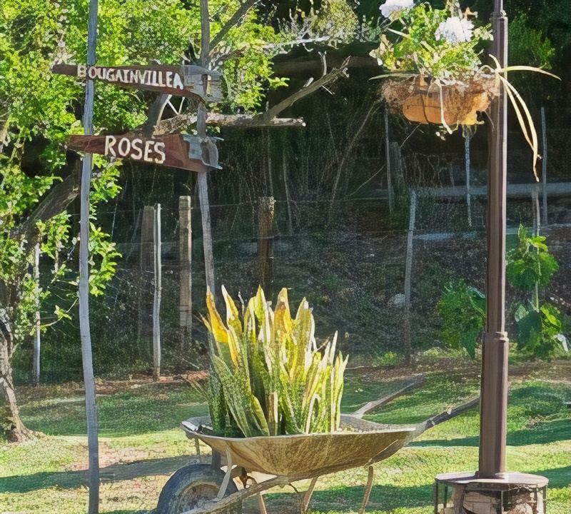 Photo of Others in Schoemanshoek
