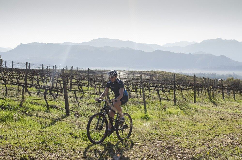 Photo of Outdoor in Cape Winelands