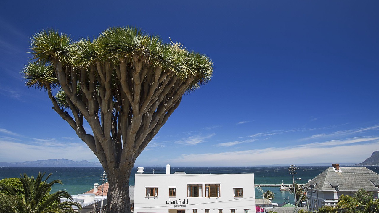 Photo of Others in Kalk Bay