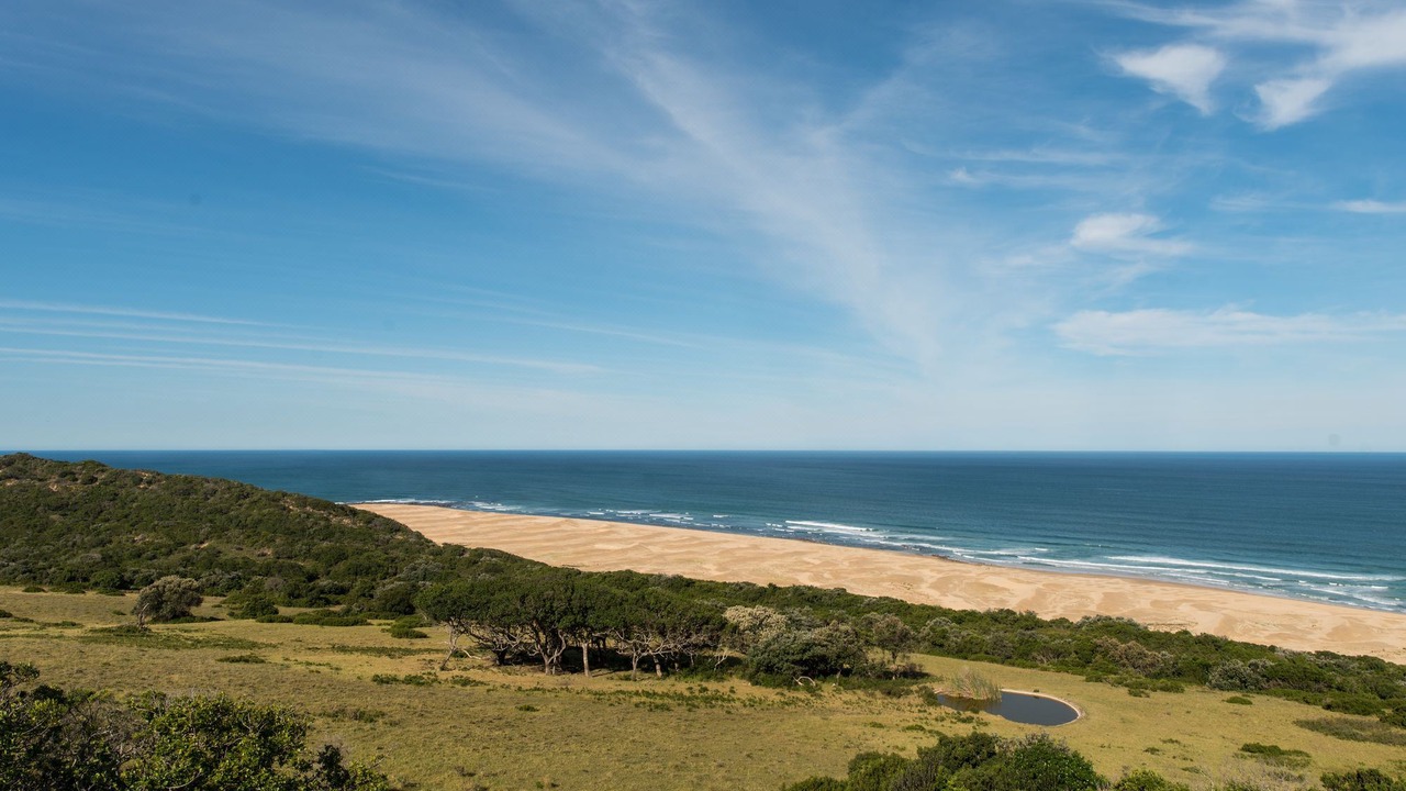 Photo of Outdoor in Seafield