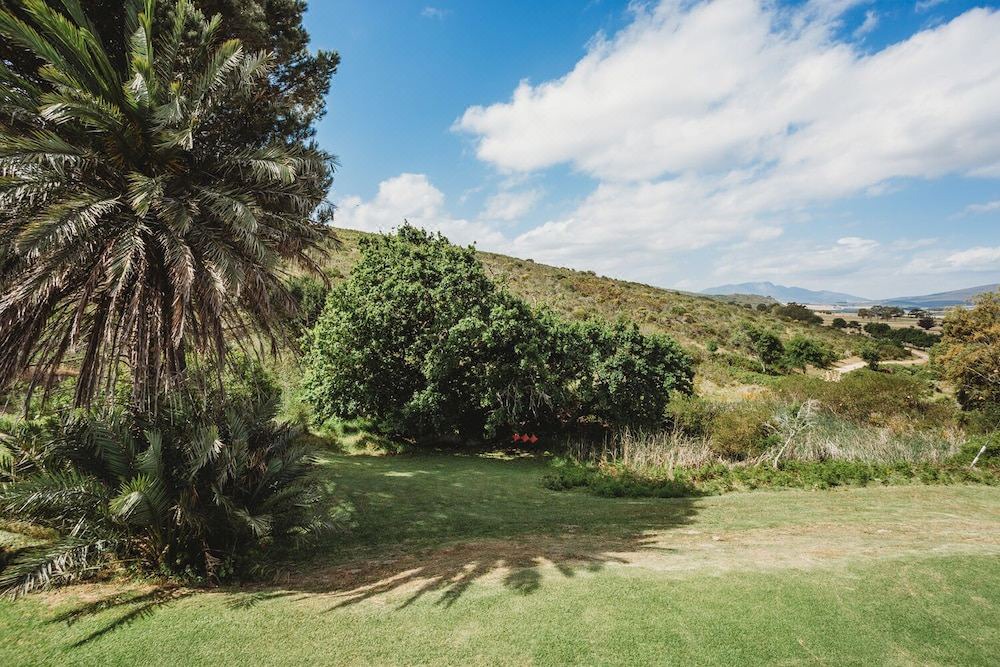 Photo of Others in Papiesvlei