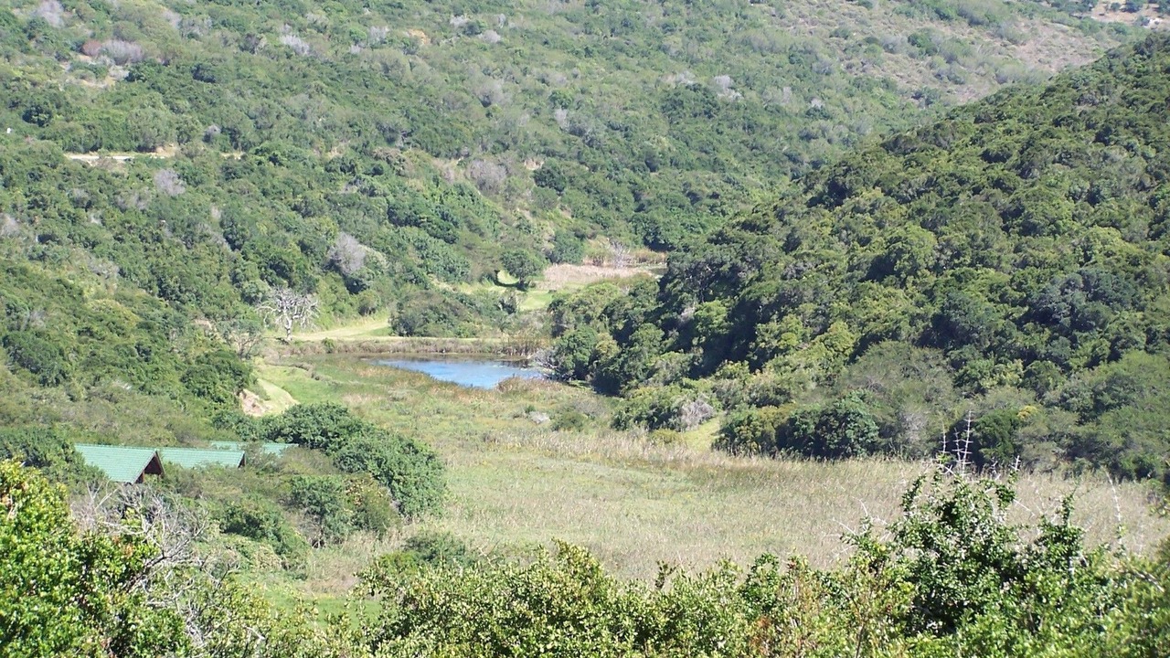 Photo of Outdoor in Nelson Mandela Bay