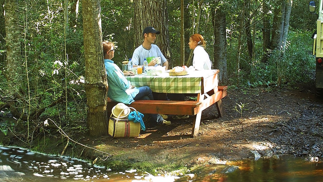 Photo of Others in Storms River