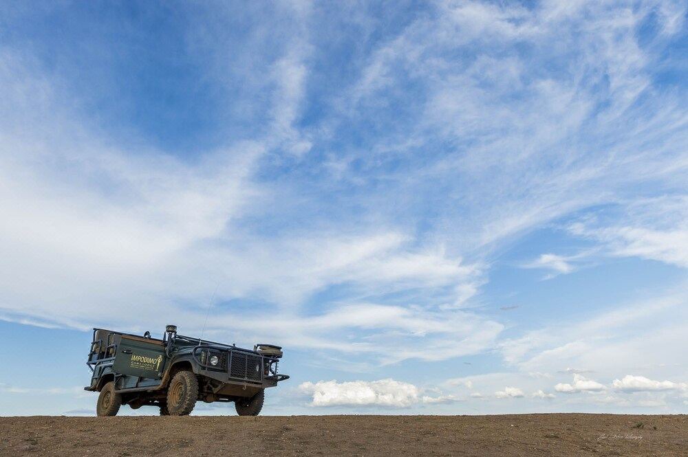 Photo of Others in Madikwe Game Reserve