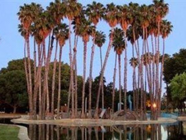 Photo of Others in North Whisman