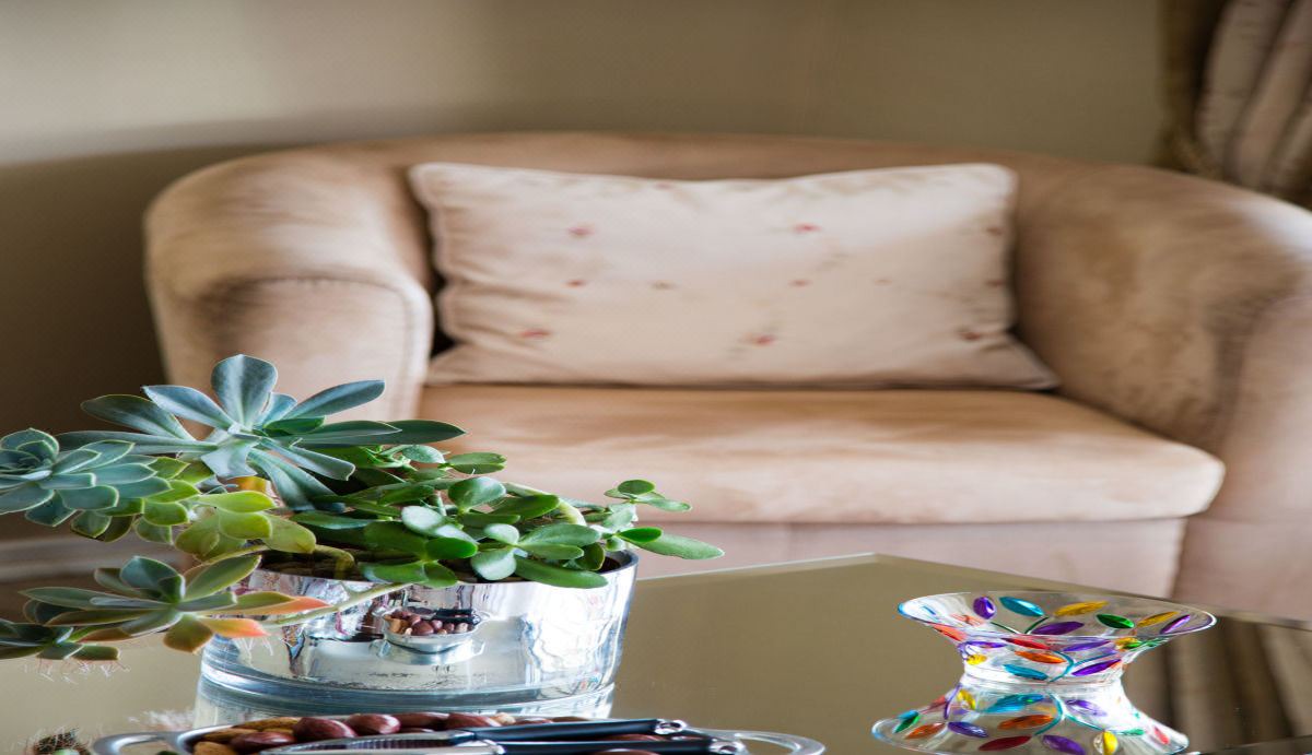 Photo of Livingroom in Welgemoed