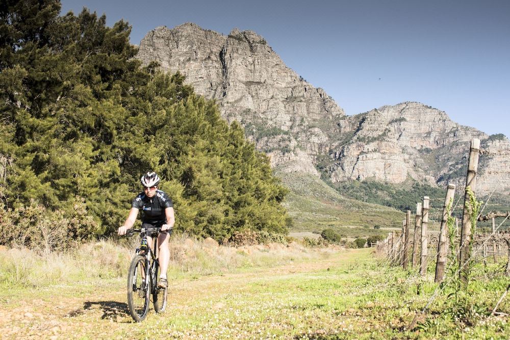 Photo of Others in Cape Winelands
