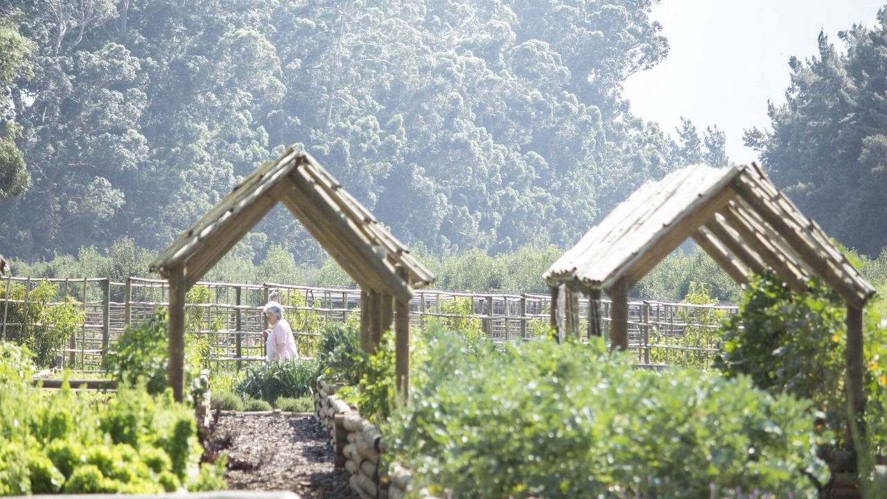 Photo of Others in Cape Winelands