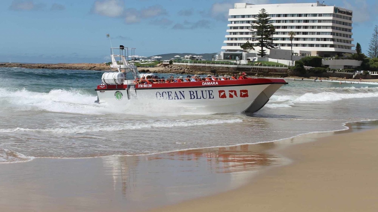 Photo of Others in Robberg Beach