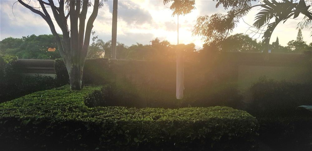 Photo of Outdoor in Constantia Park
