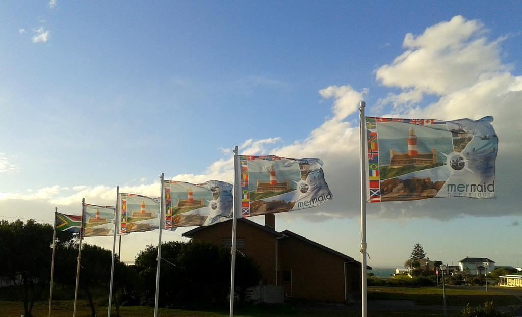 Photo of Others in Struisbaai