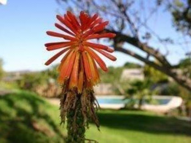 Photo of Outdoor in Beaufort West