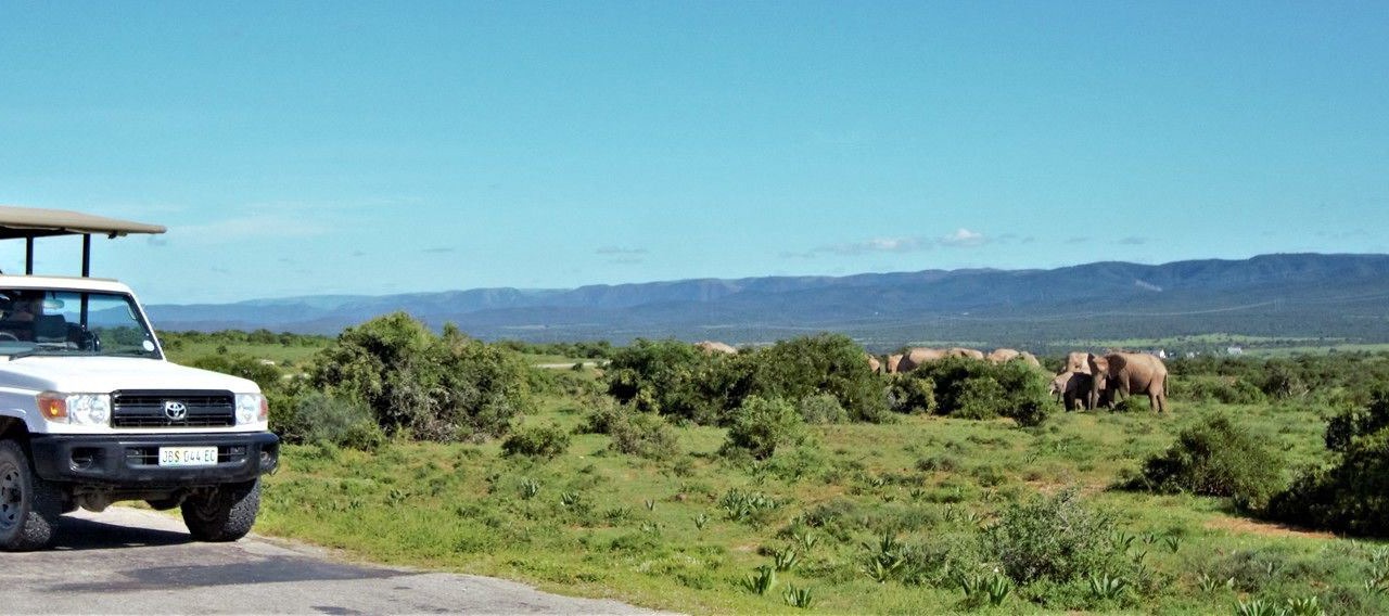 Photo of Others in Addo