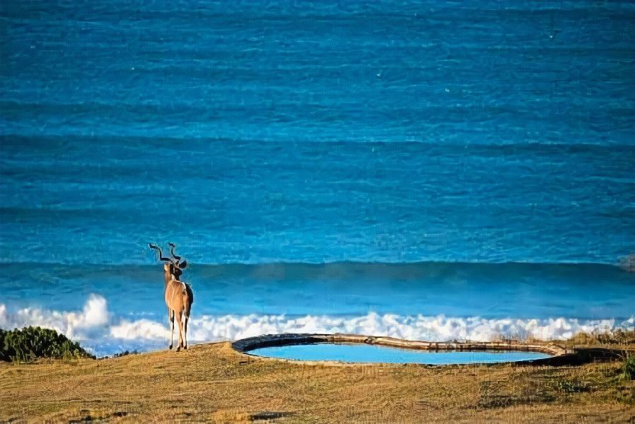Photo of Others in Seafield