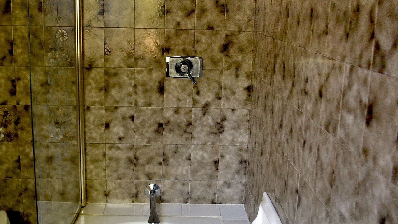 Photo of Bathroom in Bedfordview