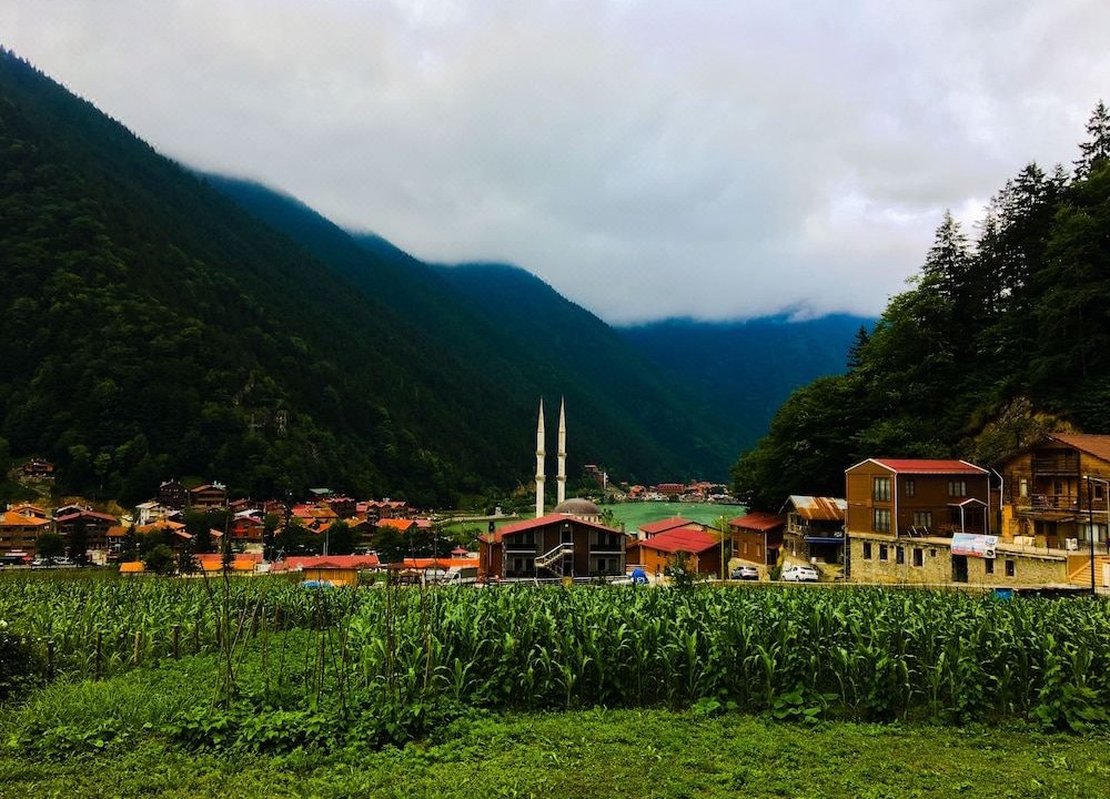 Photo of Others in Uzungol