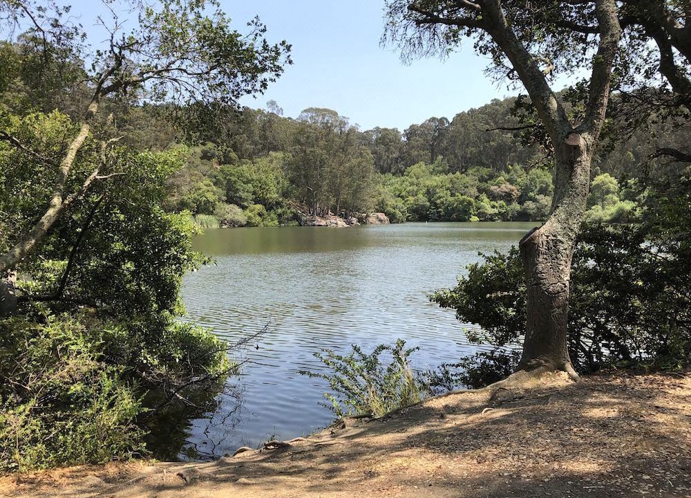 Photo of Outdoor in Northwest Berkeley