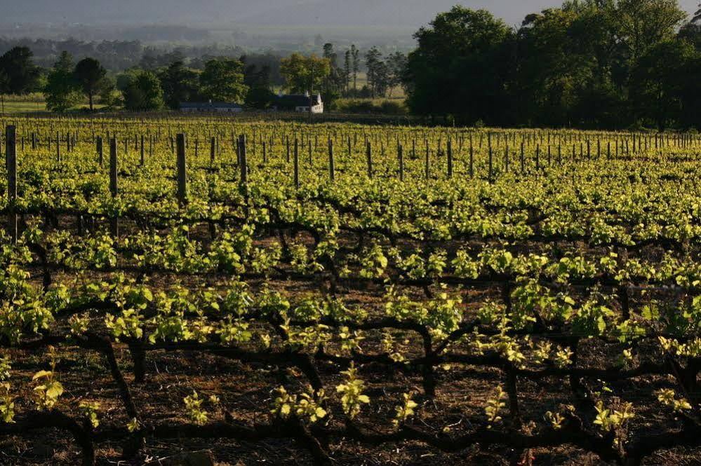 Photo of Outdoor in Cape Winelands