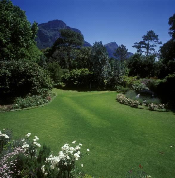 Photo of Others in Newlands