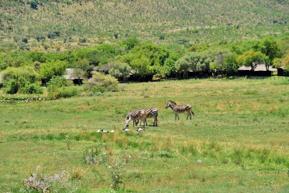 Photo of Outdoor in Ledig