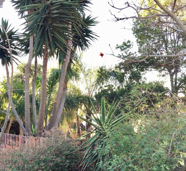 Photo of Outdoor in Humewood