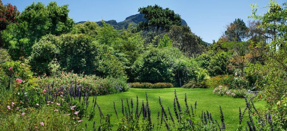 Photo of Outdoor in Newlands