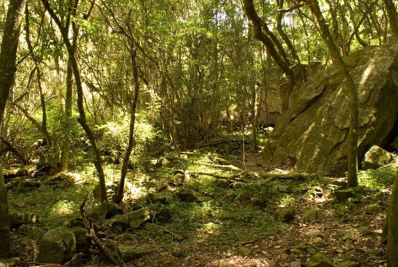 Photo of Outdoor in Lydenburg