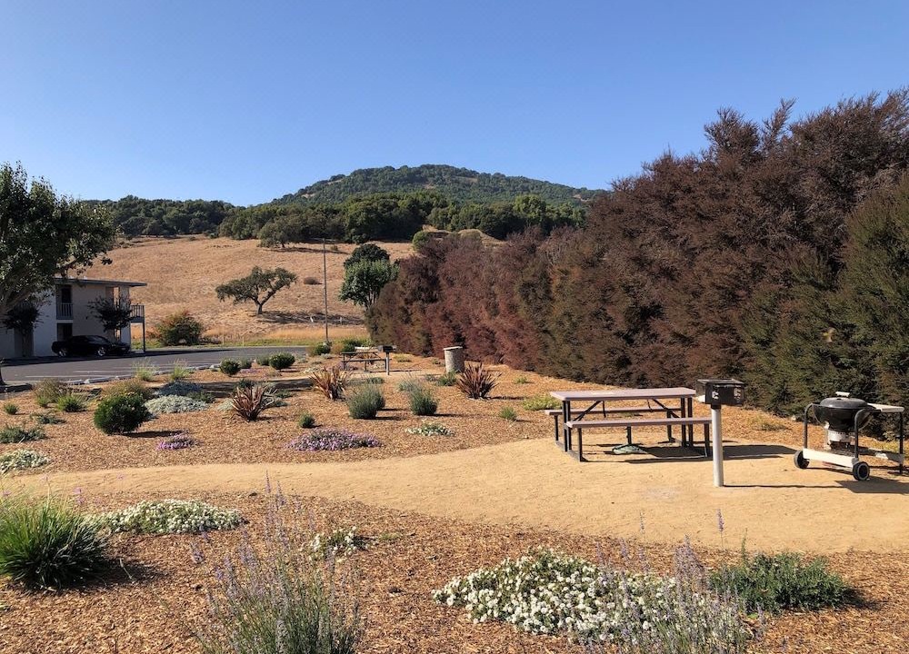 Photo of Others in Novato