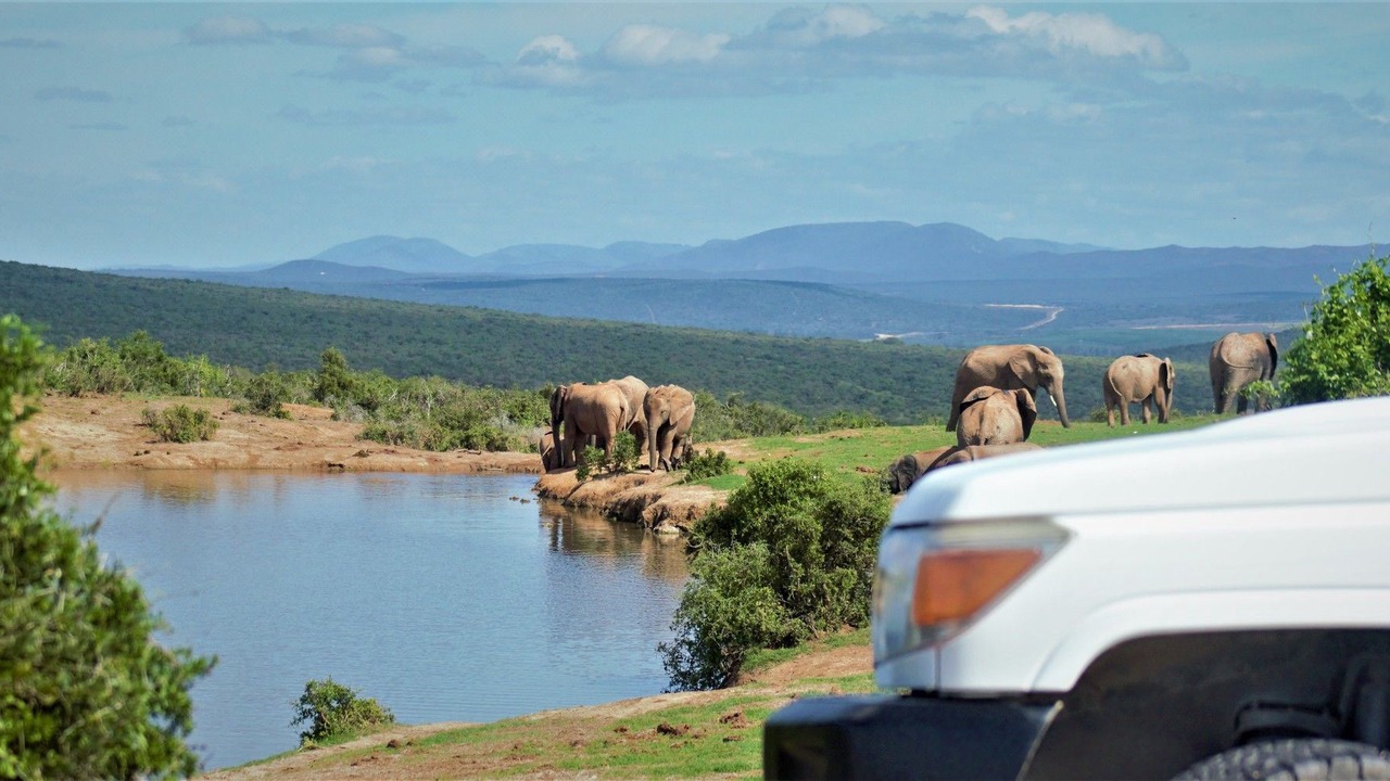 Photo of Outdoor in Addo