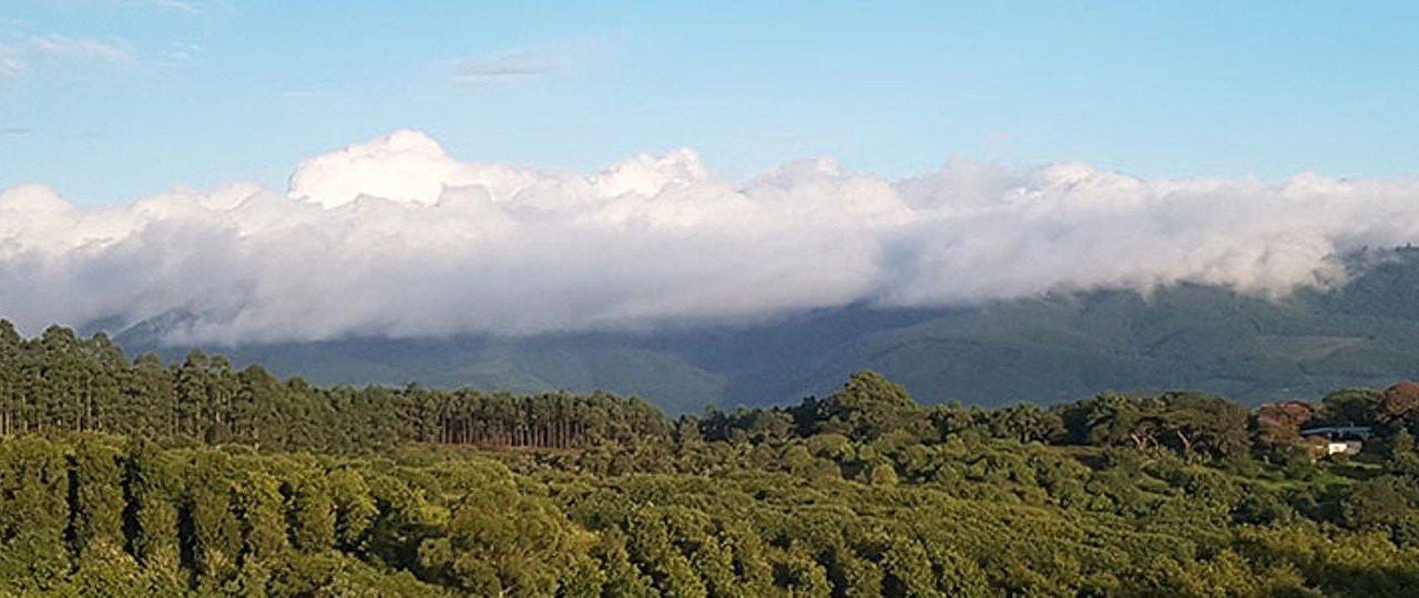Photo of Outdoor in Tzaneen