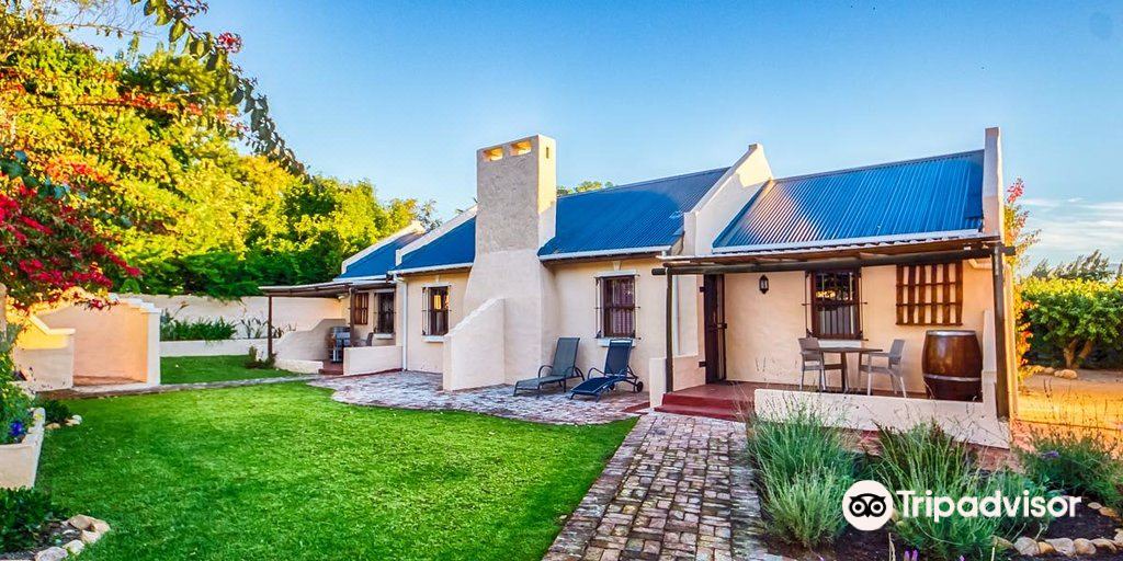 Photo of Buildings in Paarl