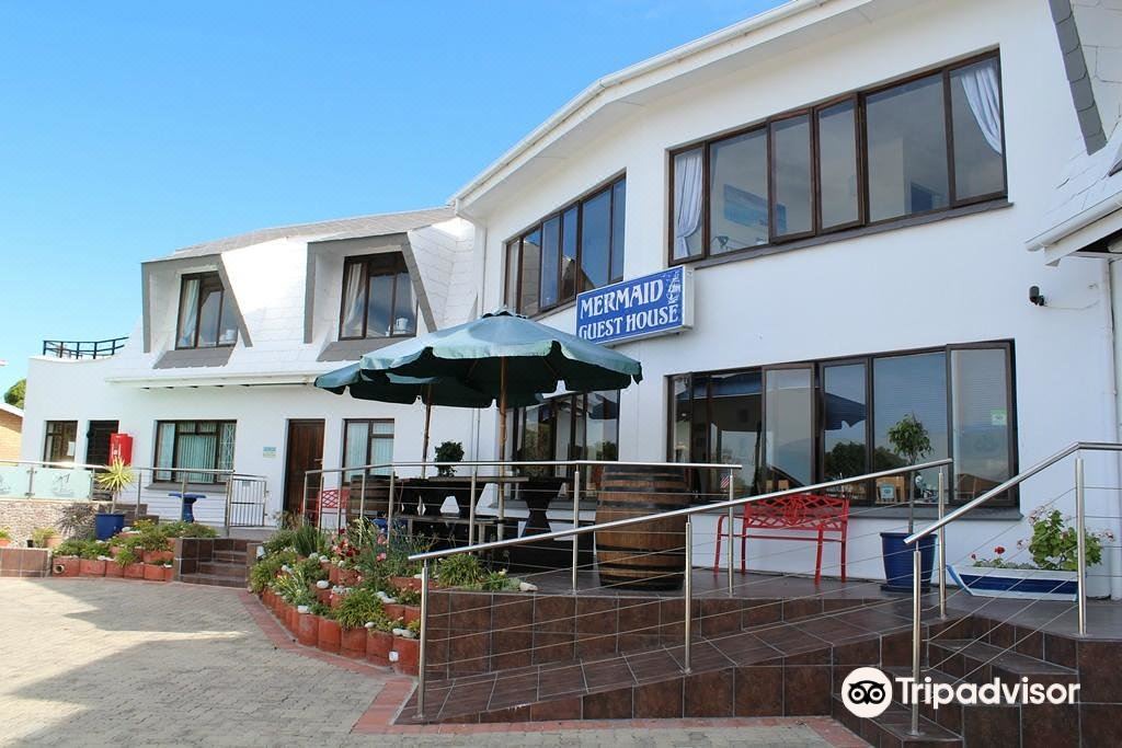 Photo of Buildings in Struisbaai