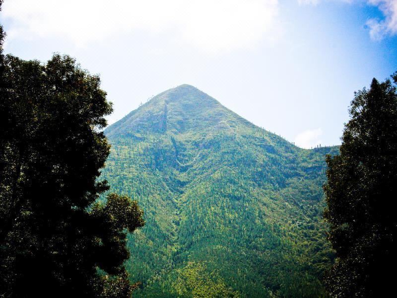 Photo of Outdoor in Storms River