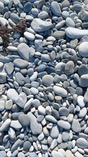 Photo of Others in De Kelders
