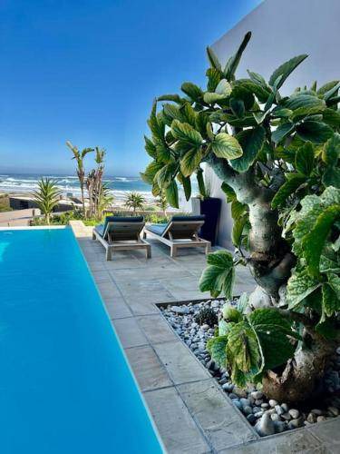 Photo of Others in Kommetjie