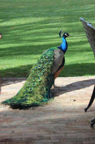 Photo of Others in Oudtshoorn