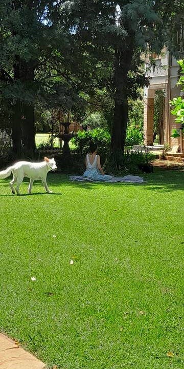 Photo of Others in Henley on Klip