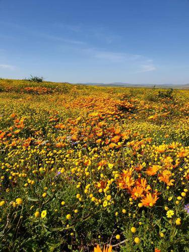 Photo of Outdoor in Kamiesberg