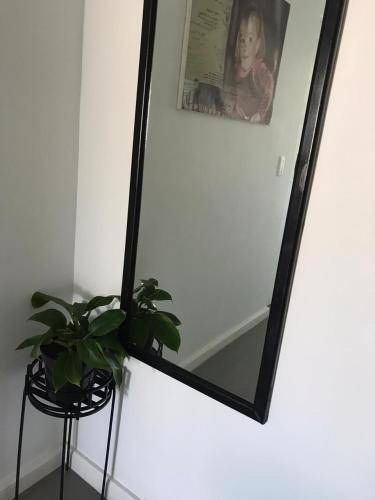 Photo of Others in Hunter's Home