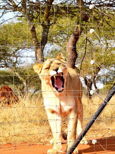 Photo of Others in Polokwane
