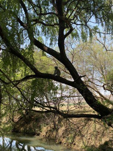 Photo of Others in Magaliesberg