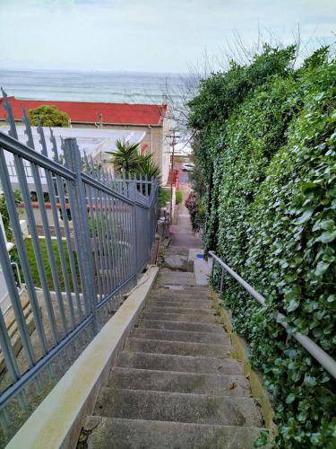 Photo of Others in Kalk Bay