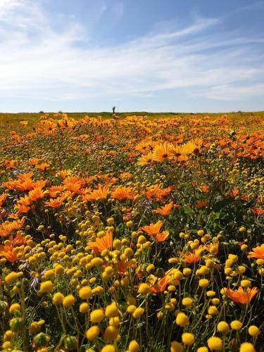 Photo of Outdoor in Kamiesberg
