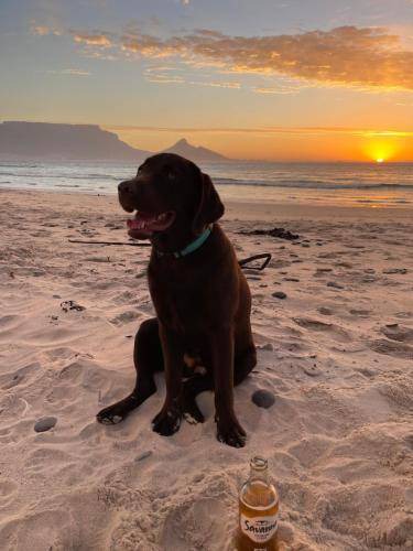 Photo of Others in Sunset Beach