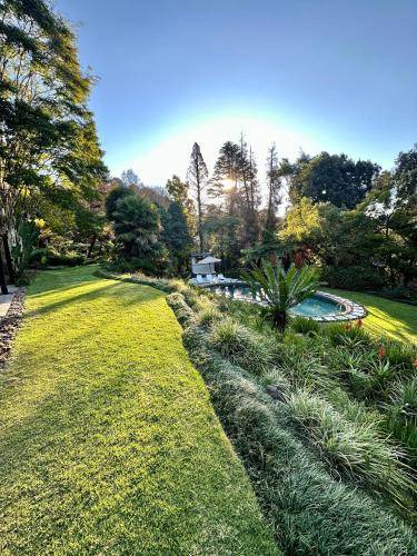 Photo of Others in Constantia Kloof